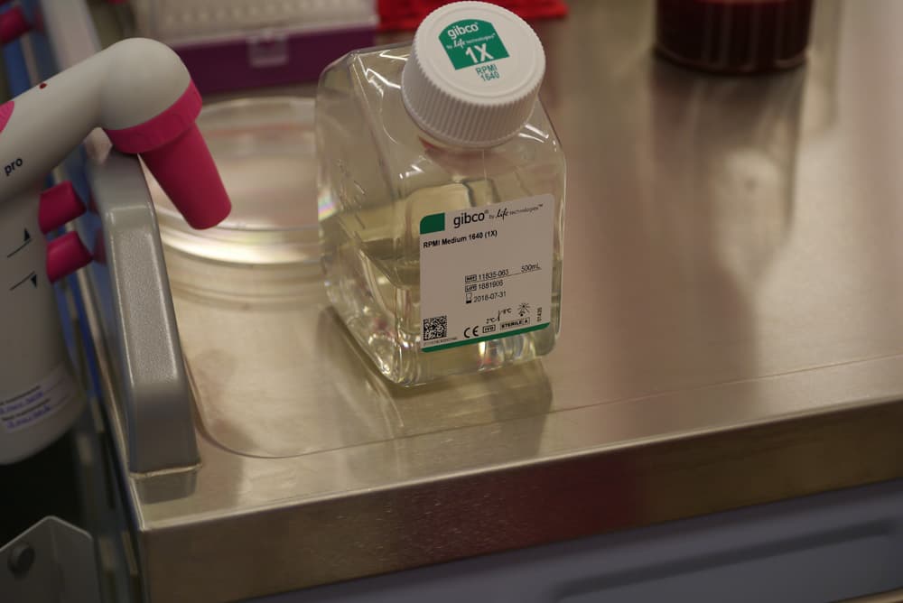 Regenerative tissue prepared at London Cartilage Clinic